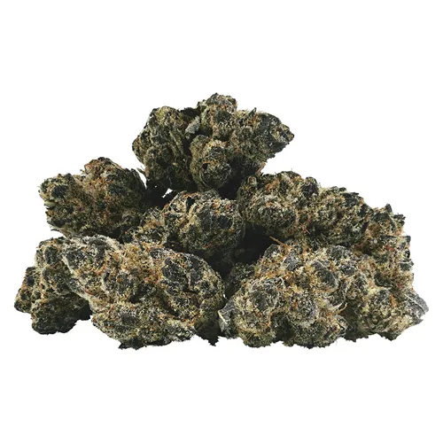 Product image of Pink Pavlova - BC 1/4 - Dried Flower