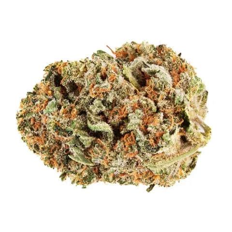 No. 14 Craft - FIGR - Dried Flower