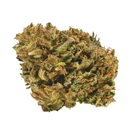 Cherry Blossom - 5 Points Cannabis - Dried Flower