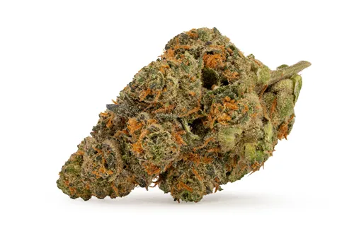 Product image of Holiday Weight - BC OZ - Dried Flower