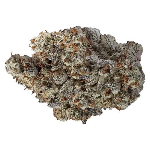 Product image of lil volos - VOLO - Dried Flower