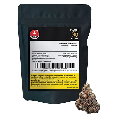 Northern Lights - Station House - Dried Flower