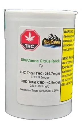 Citrus Rock - Shucanna - Dried Flower