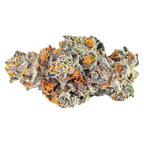 Product image of Pink Kitty - Blk Mkt - Dried Flower