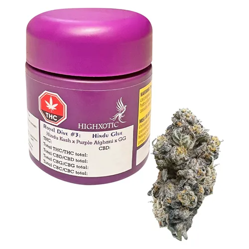 Royal Dive #3: Hindu Glue - HighXotic - Dried Flower
