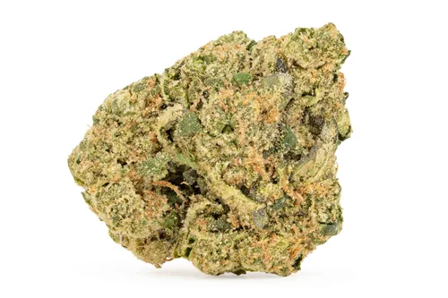 Product image of Gasolina - 1964 - Dried Flower