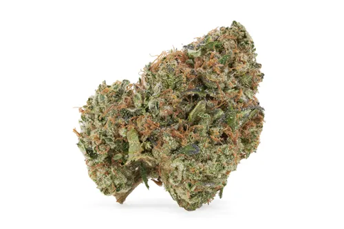 Stinky Pinky - 1964 - Dried Flower