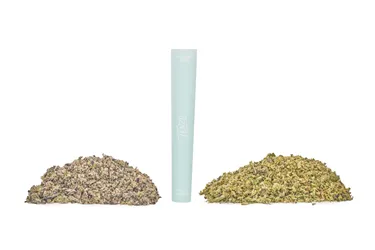 Product image of Fun Trip - Tenzo - Pre-Ground Blend