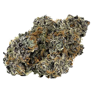 Product image of TQ Sunrise - Cookies - Dried Flower