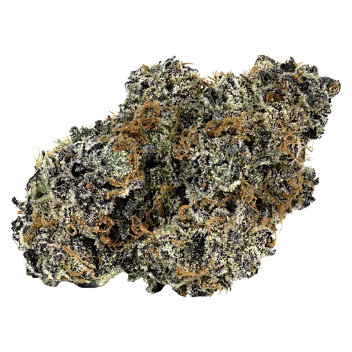 Product image of TQ Sunrise - Cookies - Dried Flower