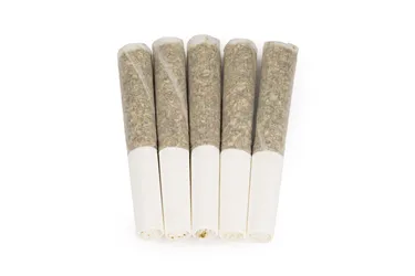 Product image of Jean Guy CBD - Orchid CBD - Joints