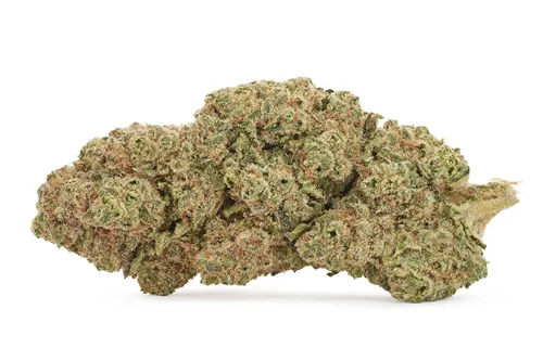 Frosted Swirl - The Loud Plug - Dried Flower