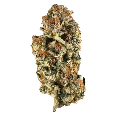 Product image of Canadian Northern Series - Station House - Dried Flower