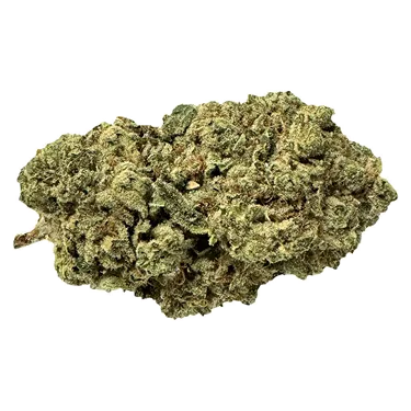 Product image of Pirate Milk - Terp Town Collective - Dried Flower