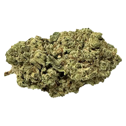 Product image of Pirate Milk - Terp Town Collective - Dried Flower
