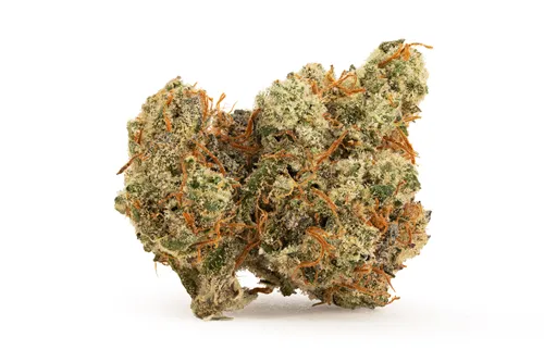 Product image of Mystic Mountain 1:1 - Sweetgrass Organic Cannabis - Dried Flower