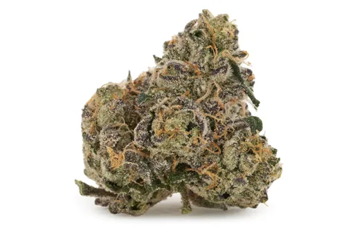 Product image of Bacio Gelato - BLK MKT - Dried Flower