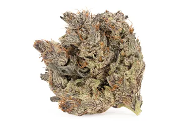 Product image of Kq Dark Matter Lto - Kootenay Quantum - Dried Flower