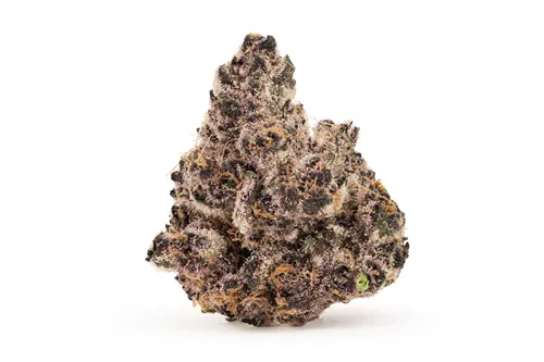 Product image of Hell's Kitchen - BLKMKT - Dried Flower