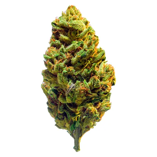 Product image of 1:1 - Redecan - Dried Flower