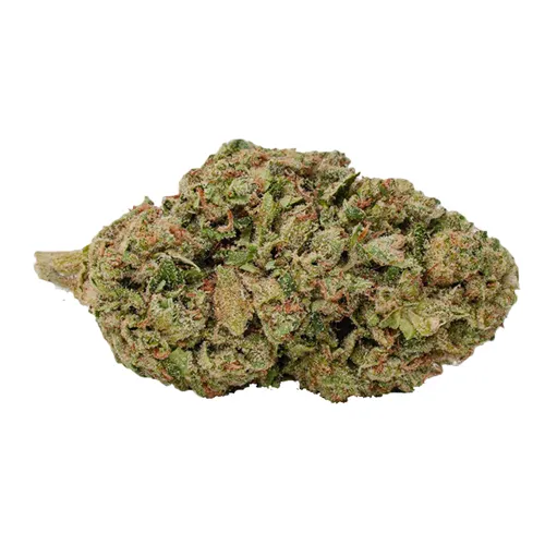 Product image of Biscotti Amnesia - Melt - Dried Flower