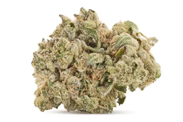 Product image of Death Punch - Soar - Dried Flower