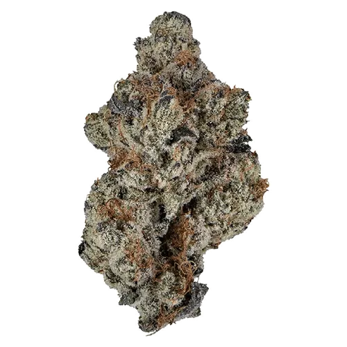 Product image of Grape Cake - Ambr - Dried Flower