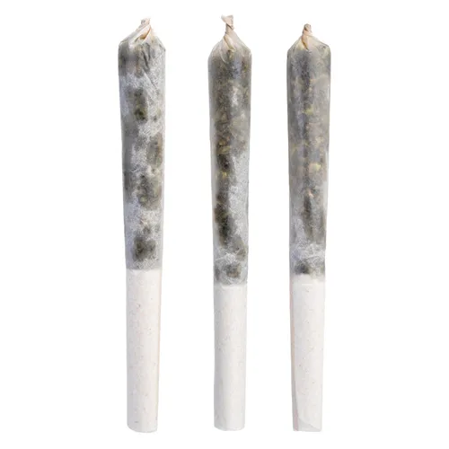 CNDYLAND - Tenzo - Infused Joints