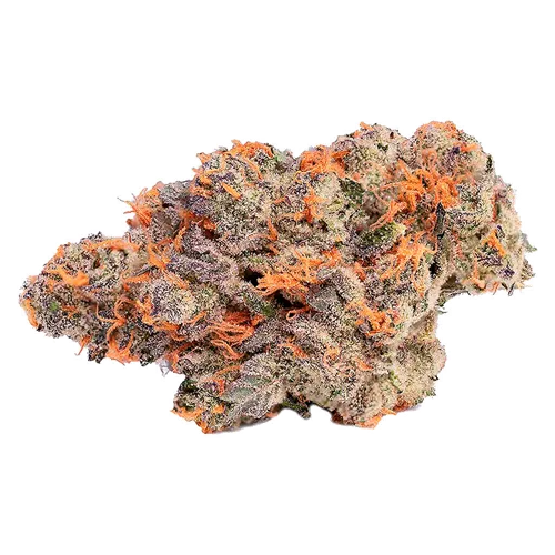 Product image of Pink Rozay #4 - Coterie - Dried Flower