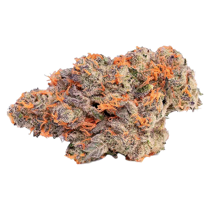 Product image of Pink Rozay #4 - Coterie - Dried Flower