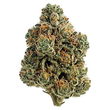 Product image of Breeders Stash - Tiki Madman - Dried Flower
