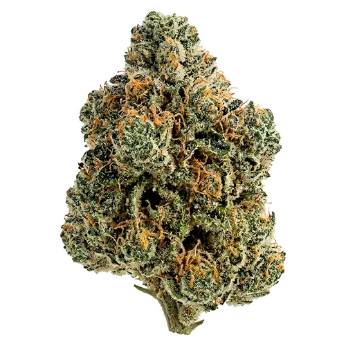 Product image of Breeders Stash - Tiki Madman - Dried Flower