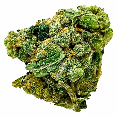 Product image of Crab Cakes - SKOSHA - Dried Flower