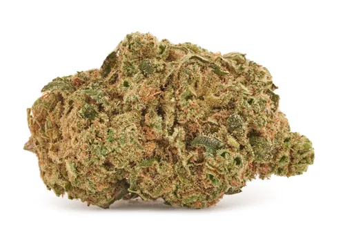 Product image of Blackberry Cheesecake - Choice Growers - Dried Flower