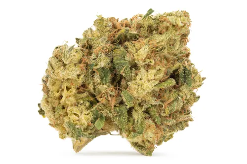 Product image of Ruby Haze - Jolly Boys - Dried Flower