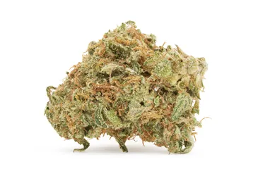Product image of Rainbow Driver Craft Flower - Woody Nelson - Dried Flower
