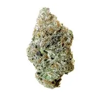 Cherry Gas - All Nations - Dried Flower