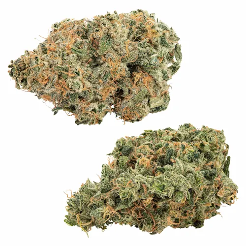 Product image of Dynamic Duos Purple Punch-Out!! + Ultra Jean-G - Holy Mountain - Variety Flower