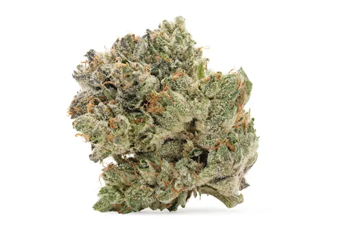 Product image of Pre '98 Bubba - Pistol and Paris - Dried Flower