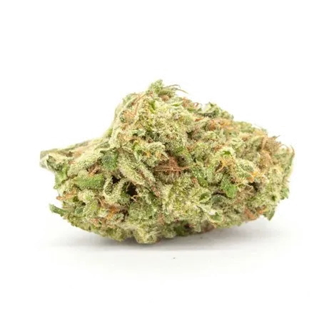 Product image of Peachy Keen - Cactus - Dried Flower