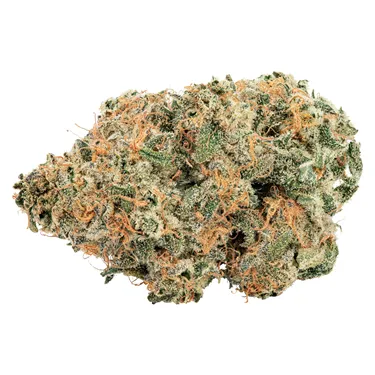 Product image of Purple Cherry Punch - Big Bag O' Buds - Dried Flower