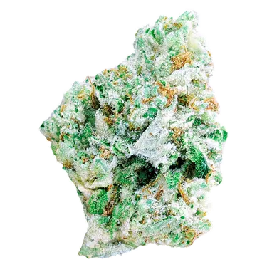 Product image of GG - Pixel - Dried Flower