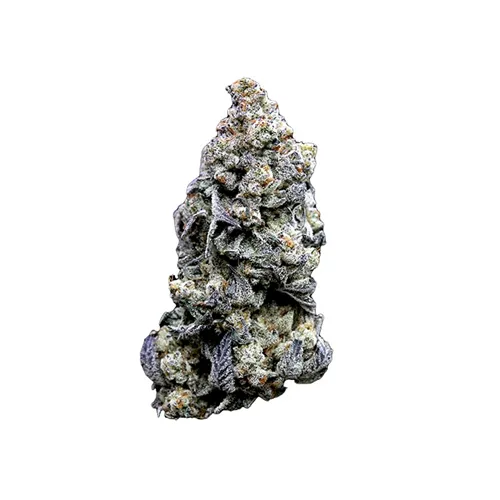 Alien Cookies - FRESH - Dried Flower