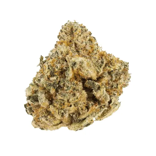 Product image of Biscotti Mintz - Kief Cannabis Co. - Dried Flower