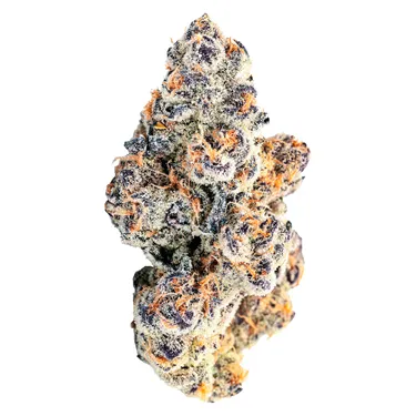 Product image of Dragon Glass - BLK MKT - Dried Flower