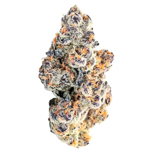 Dragon Glass - BLK MKT - Dried Flower