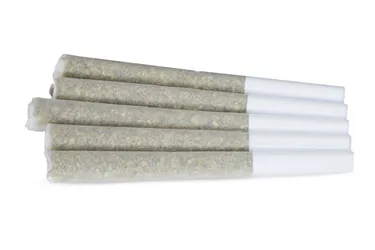 Product image of French Beignet - DEALR - Joints