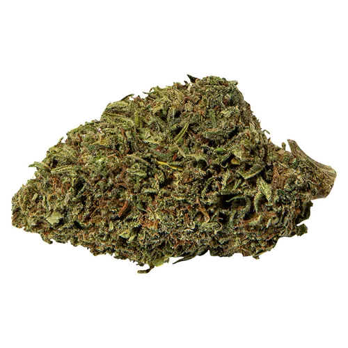 Product image of Mango Sapphire Haze - Abide - Dried Flower