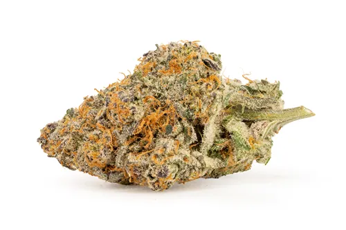 Product image of Amore - Casa Di Fiore - Dried Flower