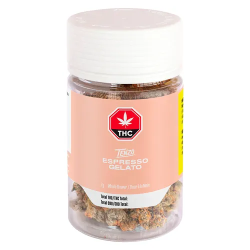 Espresso Gelato - Tenzo - Dried Flower